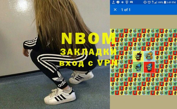 apvp Алексин