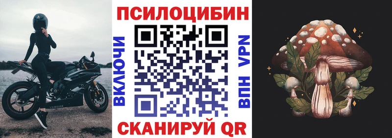 hydra ТОР  Апрелевка  Галлюциногенные грибы Psilocybine cubensis 
